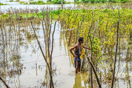 Odisha govt intensifies flood relief measures, announces compensation; over 8 lakhs affected Odisha govt intensifies flood relief measures, announces compensation; over 8 lakhs affected