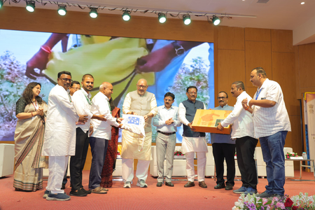 Cotton is the cornerstone of India’s rural economy, agricultural prosperity Cotton is the cornerstone of India’s rural economy, agricultural prosperity
