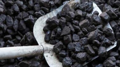 India’s coal output rises 7.5 pc to 69.75 MT in July, dispatch jumps 17 pc India’s coal output rises 7.5 pc to 69.75 MT in July, dispatch jumps 17 pc