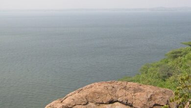 ‘Karnataka has enough water’: TN moves Supreme Court seeking full Cauvery share