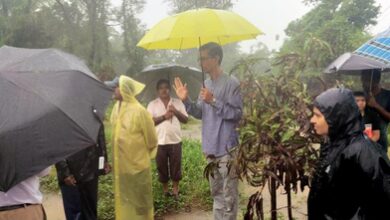 Agricultural scientists help South Gujarat farmers revive flood-hit orchards with restoration methods
