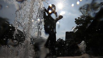 Record heat wave continues to grapple South Korea Record heat wave continues to grapple South Korea