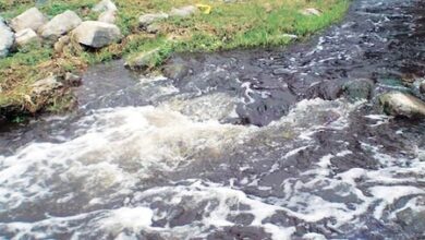 Untreated sewage continues to flow into Noyyal River in TN’s Coimbatore as STP project stalled Untreated sewage continues to flow into Noyyal River in TN’s Coimbatore as STP project stalled