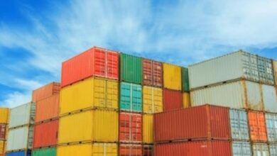 India aims 10,000 GI registrations by 2030, FTAs to expand global market access India aims 10,000 GI registrations by 2030, FTAs to expand global market access