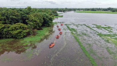 Assam flood situation remains grim; disaster management authority issues fresh warning
