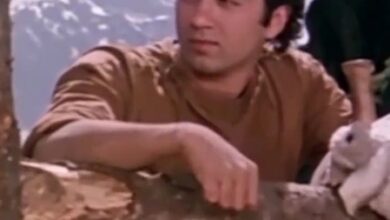 Sunny Deol on 43 Years of ‘Betaab’: ‘It began my journey in cinema’ Sunny Deol on 43 Years of ‘Betaab’: ‘It began my journey in cinema’