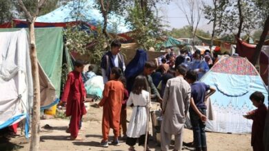 14 million people in Afghanistan face acute food insecurity: World Food Programme 14 million people in Afghanistan face acute food insecurity: World Food Programme