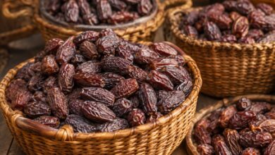 DRI seizes Rs 3 crore worth Pakistan-origin dry dates routed through UAE