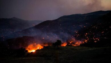 Wildfire in Netherlands not fully extinguished, but under control, says authorities