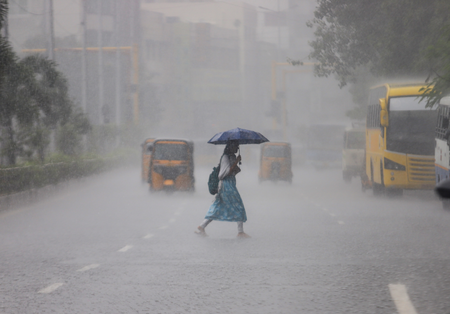Heavy rain with gusty winds forecast for many TN districts Heavy rain with gusty winds forecast for many TN districts