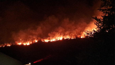 Serbia battles wildfires as extreme heat, drought intensify Serbia battles wildfires as extreme heat, drought intensify