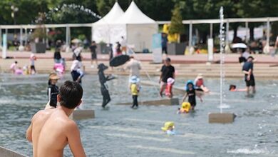 South Korea: Severe heat wave forecast to ease slightly this weekend