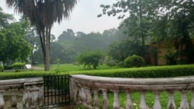 View-blockers removed from Kolkata Park, the venue for Mamata Banerjee’s morning walk View-blockers removed from Kolkata Park, the venue for Mamata Banerjee’s morning walk