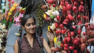Andhra Pradesh handicrafts get technological boost with QR code initiative