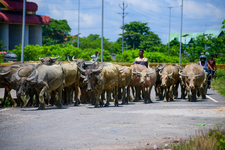 Over 50 lakh dairy farmers receiving Kisan Credit Card benefits: Minister Over 50 lakh dairy farmers receiving Kisan Credit Card benefits: Minister