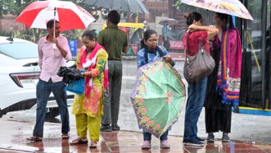Delhi rains: Fire Department receives multiple calls of house, tree collapse incidents