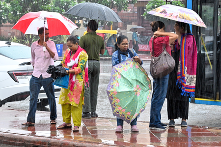Delhi rains: Fire Department receives multiple calls of house, tree collapse incidents