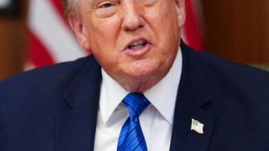 Trump signs executive order to impose 15 per cent tariff on polysilicon imports