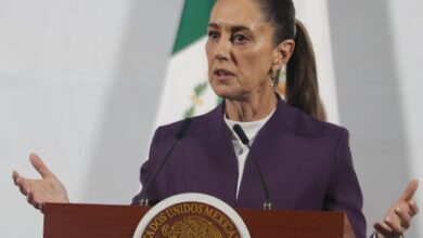 Mexican president announces security plan to resume avocado exports to US Mexican president announces security plan to resume avocado exports to US
