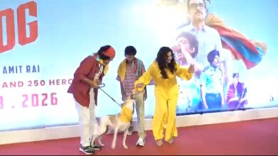 Raveena Tandon almost gets bitten by a dog on red carpet, actress keeps calm Raveena Tandon almost gets bitten by a dog on red carpet, actress keeps calm