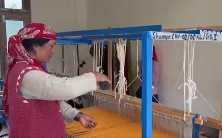 ‘Handloom has become our source of income’: Himachal’s Sharan village weavers celebrate revival of traditional craft ‘Handloom has become our source of income’: Himachal’s Sharan village weavers celebrate revival of traditional craft