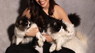 Eisha Singh says watching her six pets interact is better than any show: They make every day memorable