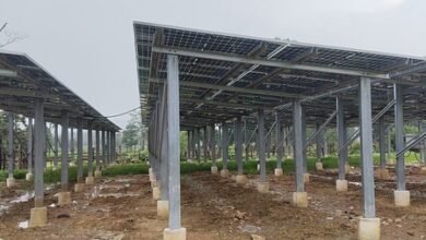 Thenhi becomes first solar village in Chhattisgarh’s Dhamtari, residents rejoice over benefits