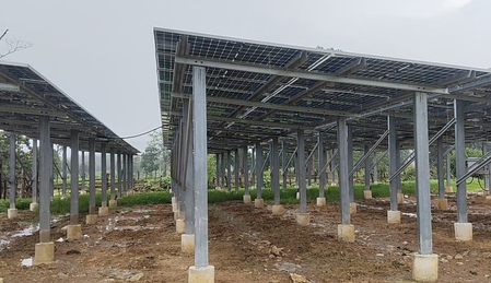 Thenhi becomes first solar village in Chhattisgarh’s Dhamtari, residents rejoice over benefits Thenhi becomes first solar village in Chhattisgarh’s Dhamtari, residents rejoice over benefits