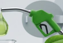 E20 rollout backed by scientific studies, industry validation: Centre E20 rollout backed by scientific studies, industry validation: Centre