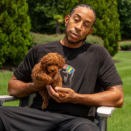 Ludacris gets dog-sitting duty after daughters ask for a new pet