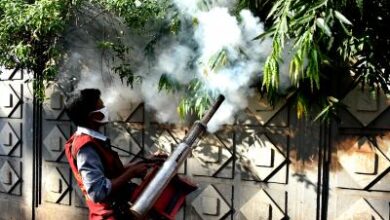 Bangladesh dengue outbreak worsens, death toll rises to 59 as cases near 18,000