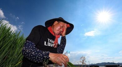 South Korea: Heat-related illness patients in late summer up threefold over past decade South Korea: Heat-related illness patients in late summer up threefold over past decade
