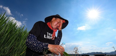 South Korea: Heat-related illness patients in late summer up threefold over past decade South Korea: Heat-related illness patients in late summer up threefold over past decade