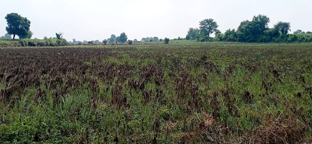 Coimbatore farmers allege casting unit pollution damaging crops, groundwater Coimbatore farmers allege casting unit pollution damaging crops, groundwater