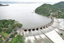 TN farmers seek Mettur surplus water to revive Salem’s Panamarathupatti lake TN farmers seek Mettur surplus water to revive Salem’s Panamarathupatti lake
