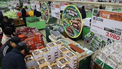 South Korea: Food prices surge amid unprecedented heat wave