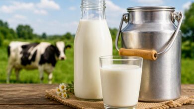 Maharashtra to raise milk prices by Rs 2 per litre from Aug 11 Maharashtra to raise milk prices by Rs 2 per litre from Aug 11