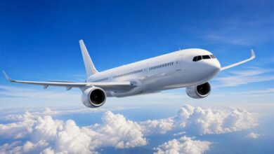 India needs independent aviation safety board, DGCA overhaul: Aviation expert India needs independent aviation safety board, DGCA overhaul: Aviation expert