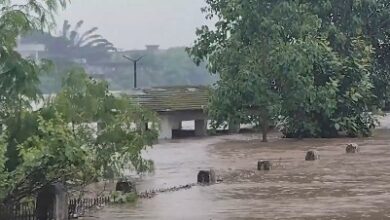 MP: Heavy rain floods Narmada, cuts Dindori-Jabalpur road link; schools to remain closed MP: Heavy rain floods Narmada, cuts Dindori-Jabalpur road link; schools to remain closed