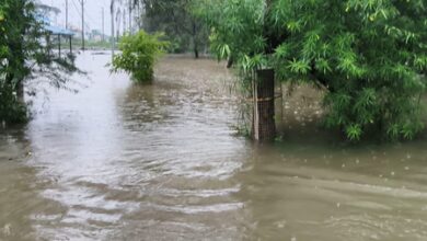 Heavy rain disrupts normal life in MP; schools shut in Bhopal Heavy rain disrupts normal life in MP; schools shut in Bhopal