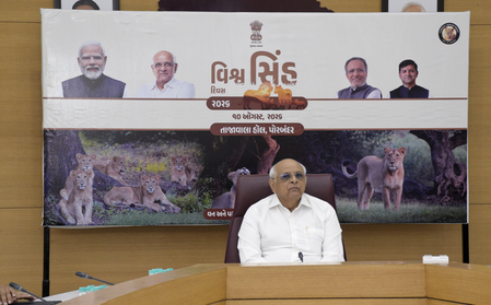 Lion conservation in Gujarat aimed at protecting entire ecosystem, says CM Patel