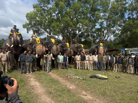 K’taka: Radio collar fitted to elephant in Bhuvaneshwari herd in Hassan K’taka: Radio collar fitted to elephant in Bhuvaneshwari herd in Hassan
