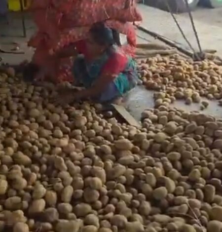 ‘Will Rs 1 per kg potato create trillion economy’, SP chief’s taunt at UP govt over farmers’ mounting distress ‘Will Rs 1 per kg potato create trillion economy’, SP chief’s taunt at UP govt over farmers’ mounting distress