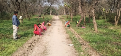 Punjab to expand tree cover, enhance biodiversity through JICA