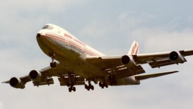 AIIB looking at technical, operational, human aspects in Air India Phuket–Delhi flight incident