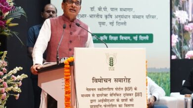 Only 3.1 pc of fruit, vegetable samples found above FSSAI pesticide residue limits: Govt