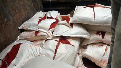 Gujarat: Rajkot civic body destroys 2,601 kg of inedible food Gujarat: Rajkot civic body destroys 2,601 kg of inedible food