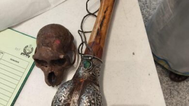 CISF detects skull concealed in passenger’s hand baggage at Delhi airport CISF detects skull concealed in passenger’s hand baggage at Delhi airport