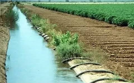 TN’s PAP farmers seek Rs 14.98 crore for canal restoration as monsoon shortfall raises concerns TN’s PAP farmers seek Rs 14.98 crore for canal restoration as monsoon shortfall raises concerns