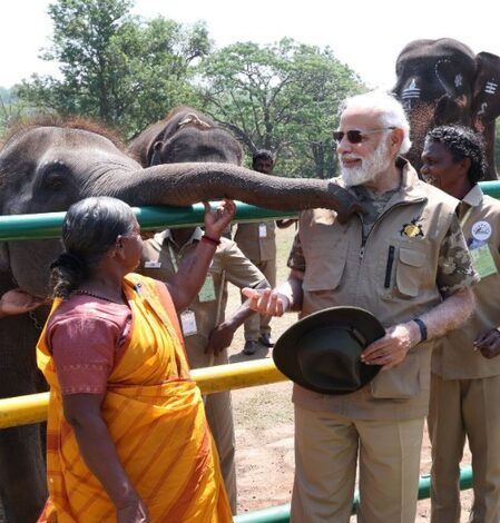 Gladdening that India is home to over 60 pc of world’s wild Asian elephants: PM Modi on World Elephant Day Gladdening that India is home to over 60 pc of world’s wild Asian elephants: PM Modi on World Elephant Day
